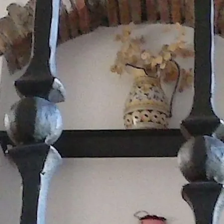 Apartment Borgo Tipico Collinare