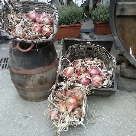 Borgo Tipico Collinare Appartamento
