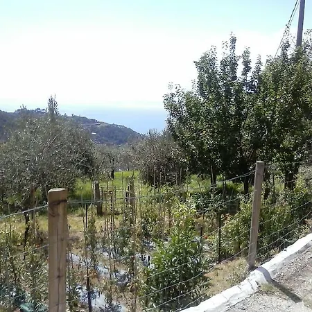 Borgo Tipico Collinare